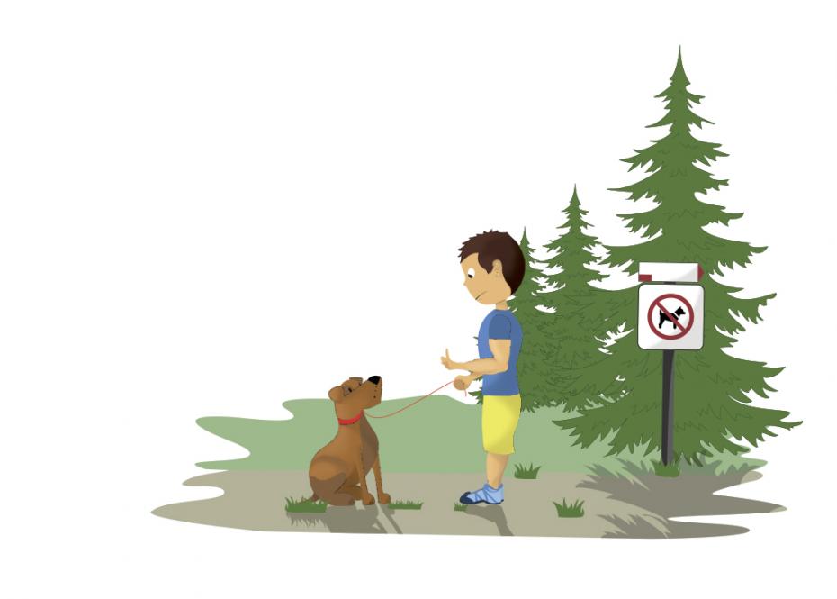 introduzione cani
